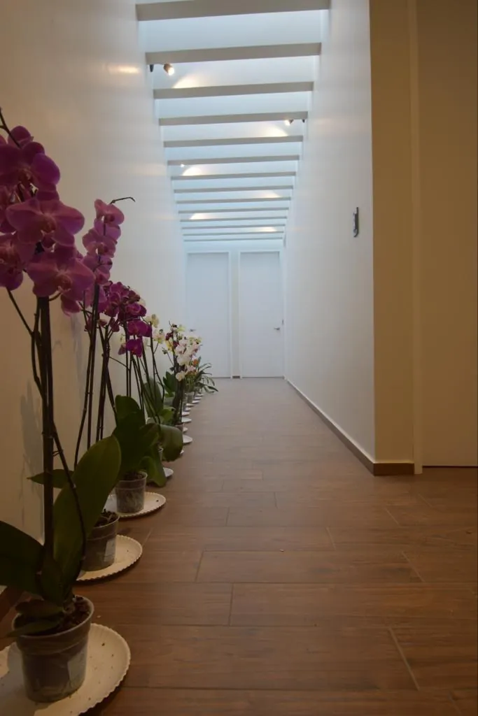 Casa 5 de Mayo — vista 2