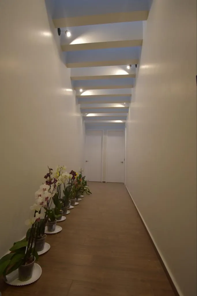 Casa 5 de Mayo — vista 19