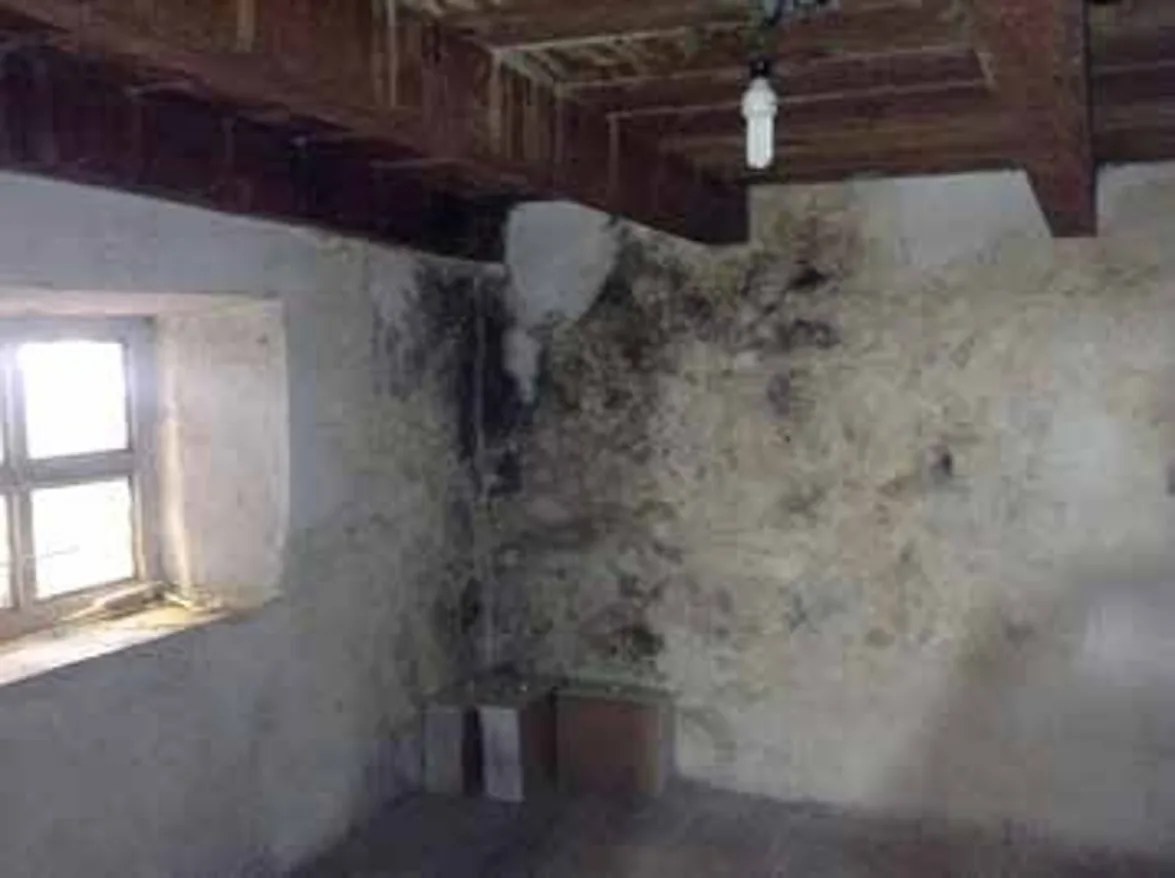 Restauración San Diego de Alcalá — vista 1